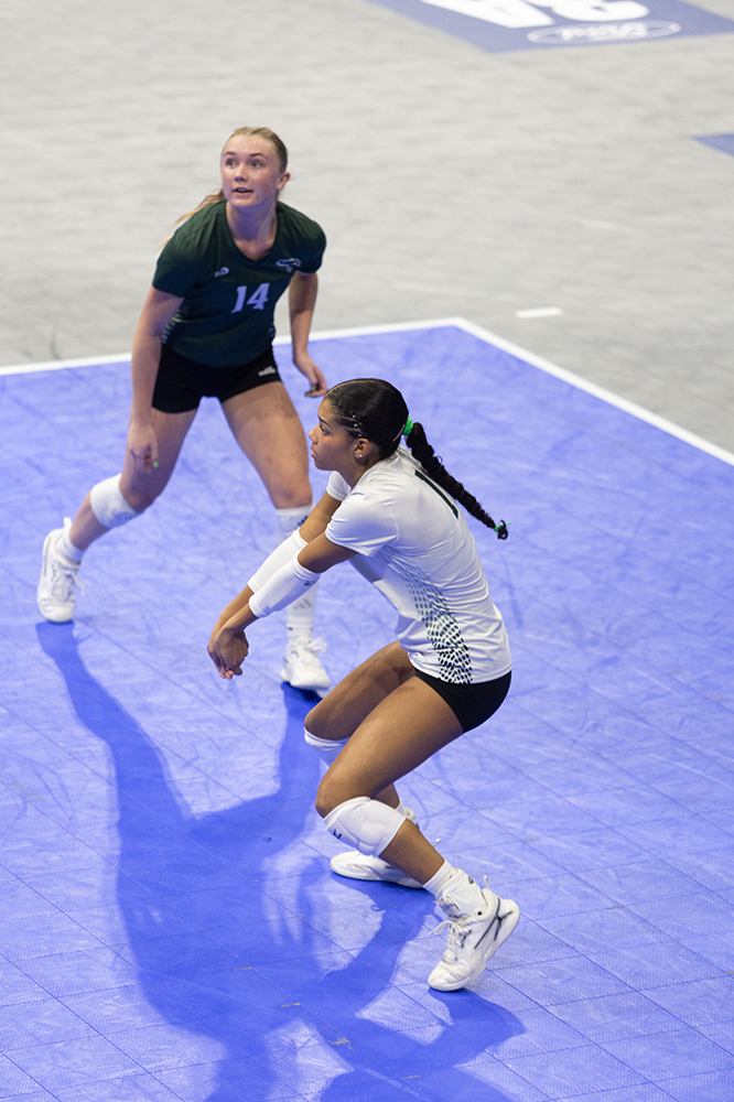 %_tempFileName1M6A8469%