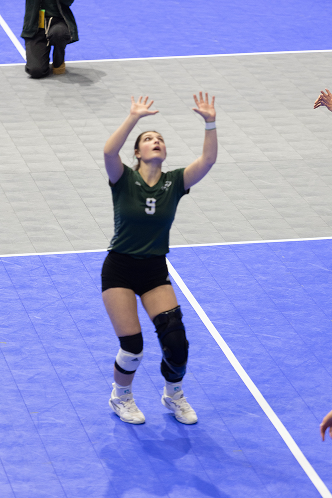 %_tempFileName1M6A8471%