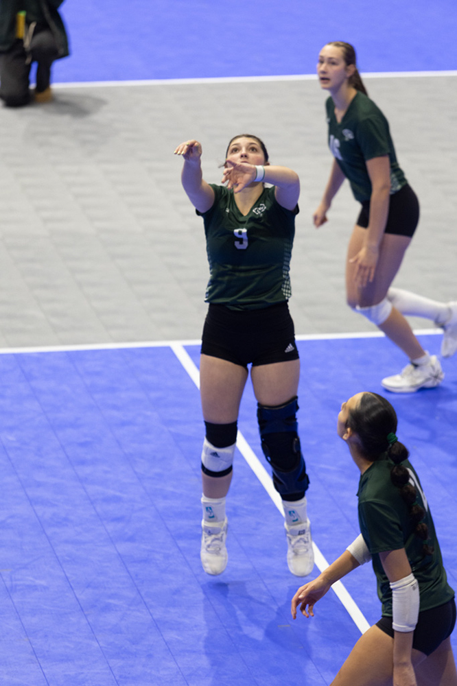 %_tempFileName1M6A8476%