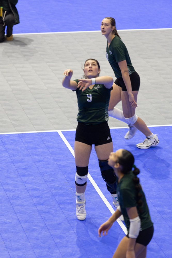 %_tempFileName1M6A8477%