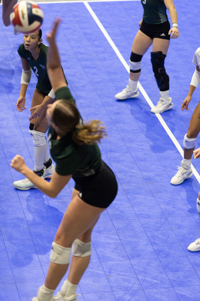 %_tempFileName1M6A8478%