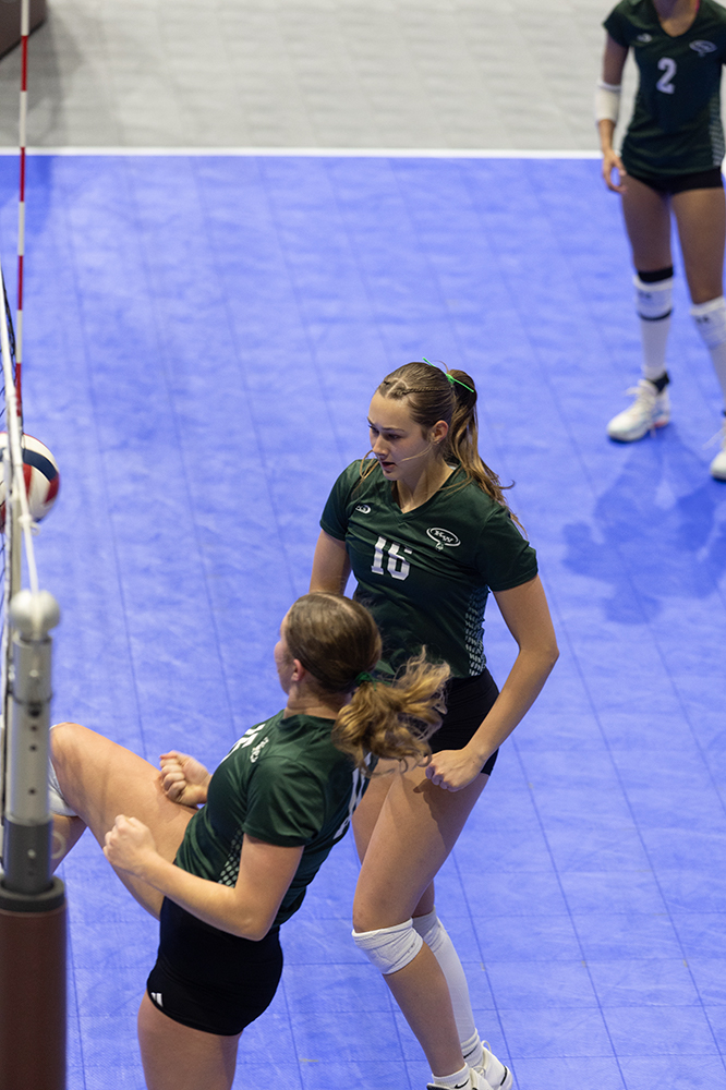 %_tempFileName1M6A8501%