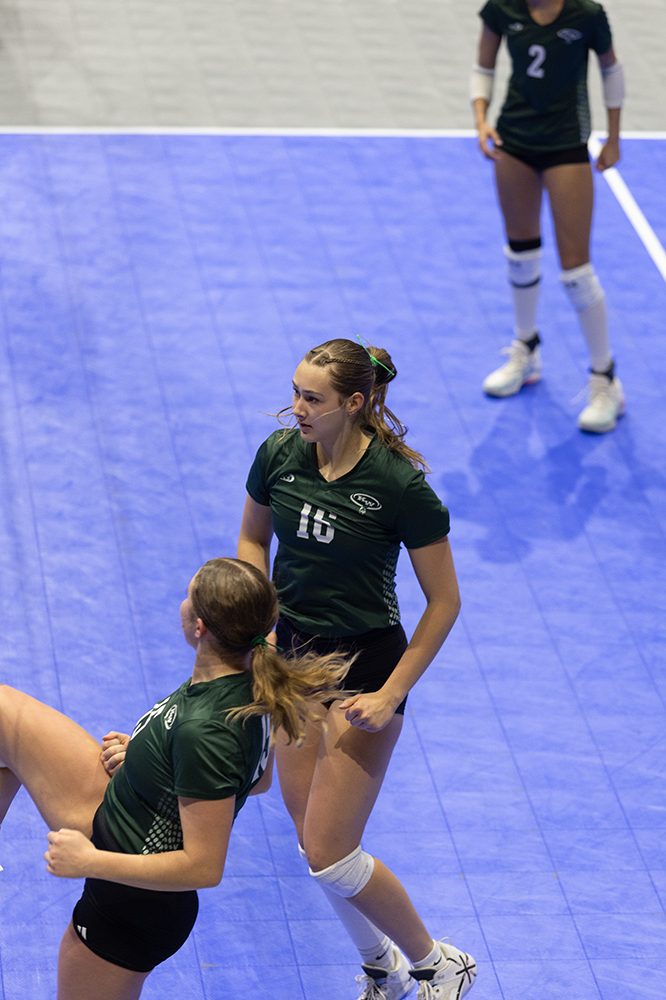 %_tempFileName1M6A8502%