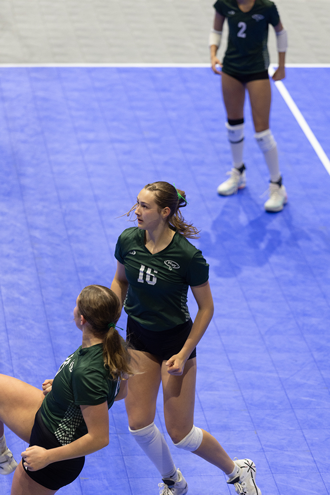 %_tempFileName1M6A8503%