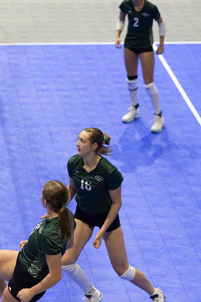 %_tempFileName1M6A8504%