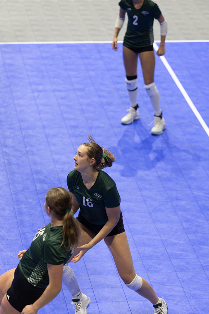 %_tempFileName1M6A8505%