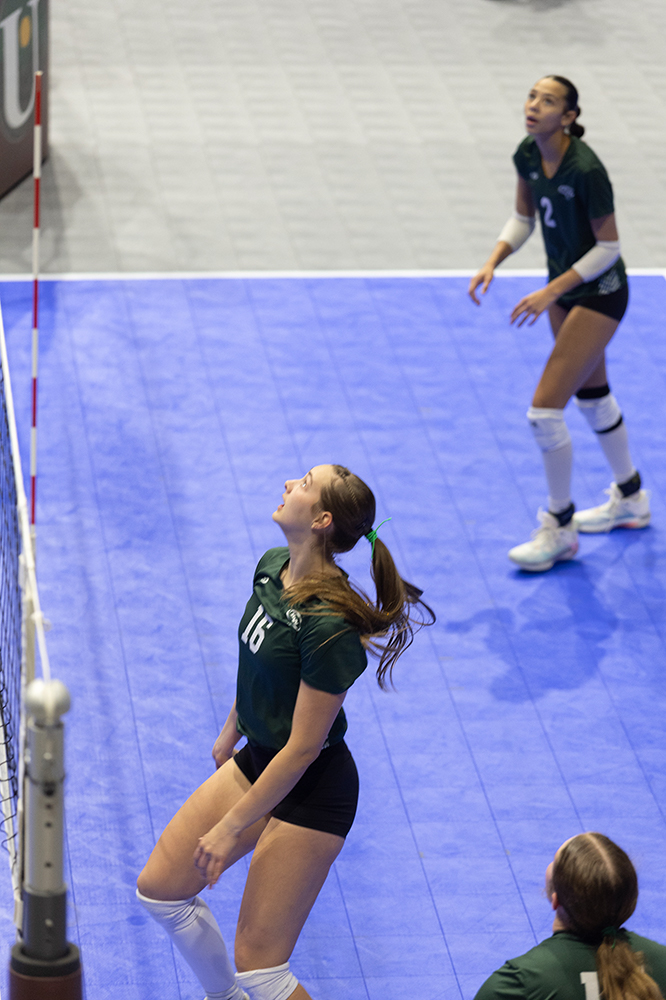 %_tempFileName1M6A8518%