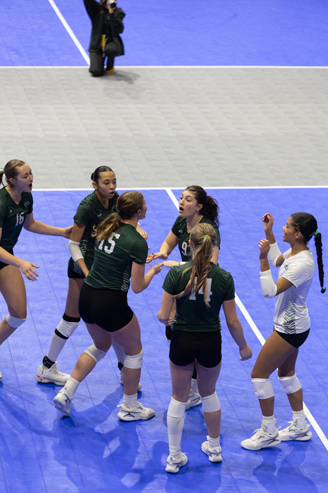 %_tempFileName1M6A8539%