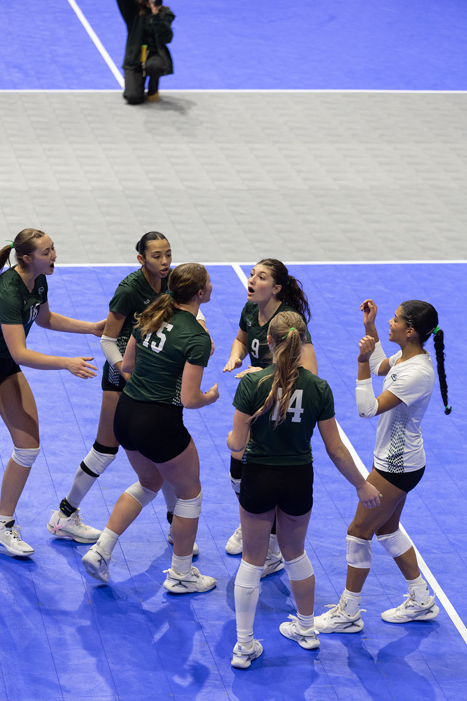 %_tempFileName1M6A8540%