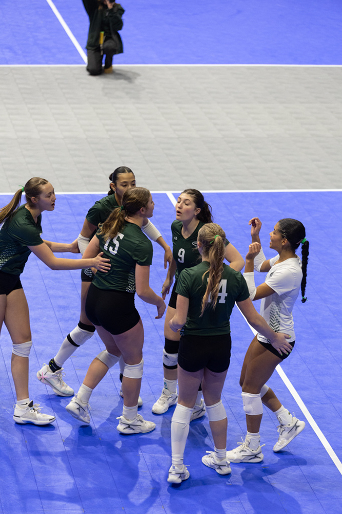 %_tempFileName1M6A8542%