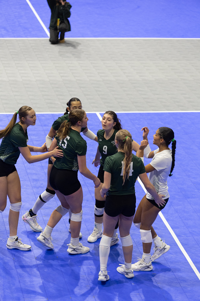 %_tempFileName1M6A8543%