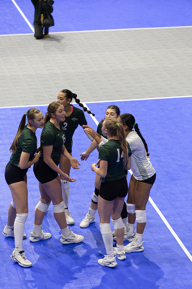 %_tempFileName1M6A8550%