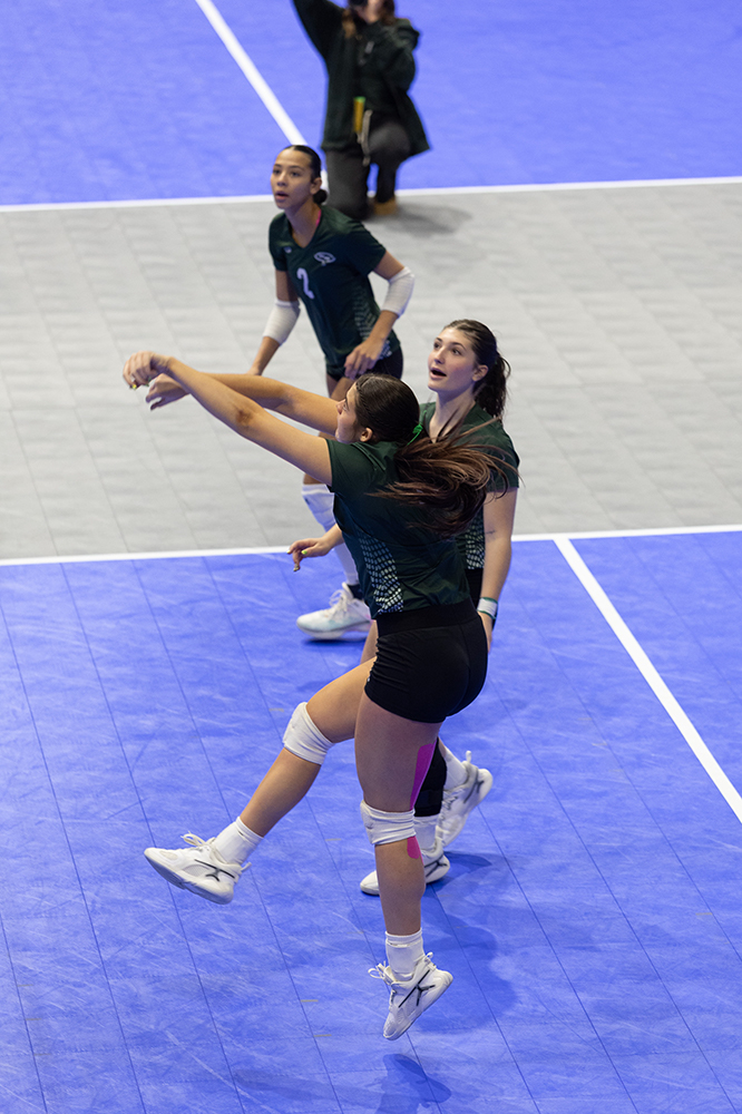 %_tempFileName1M6A8552%