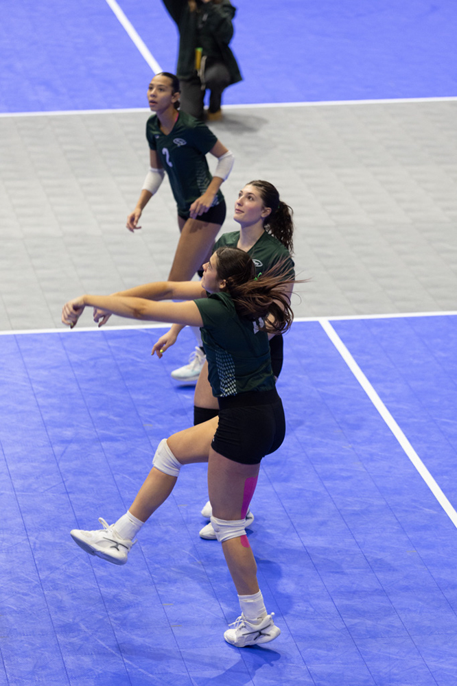 %_tempFileName1M6A8553%