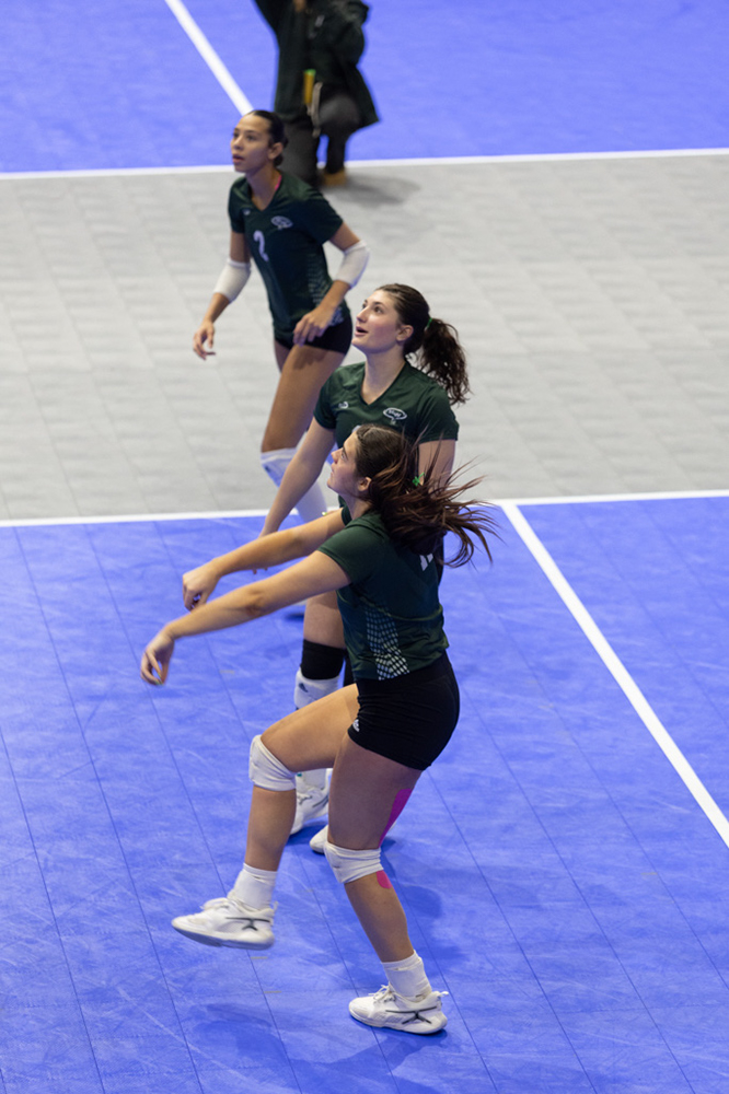 %_tempFileName1M6A8554%