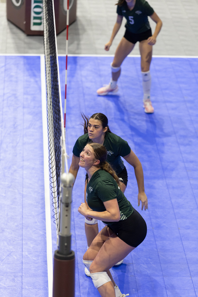 %_tempFileName1M6A8573%