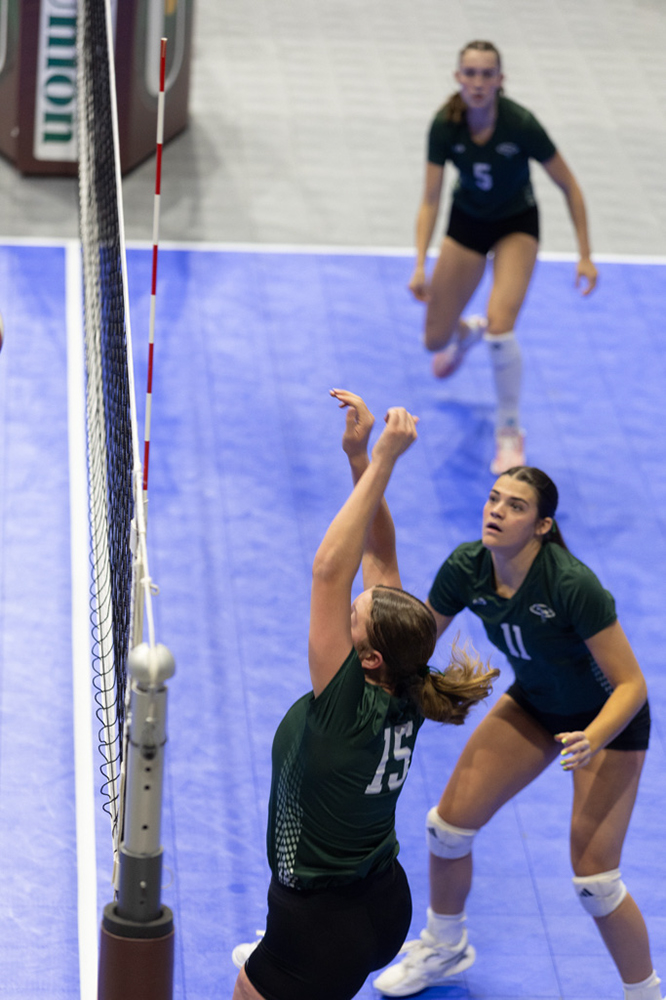 %_tempFileName1M6A8585%