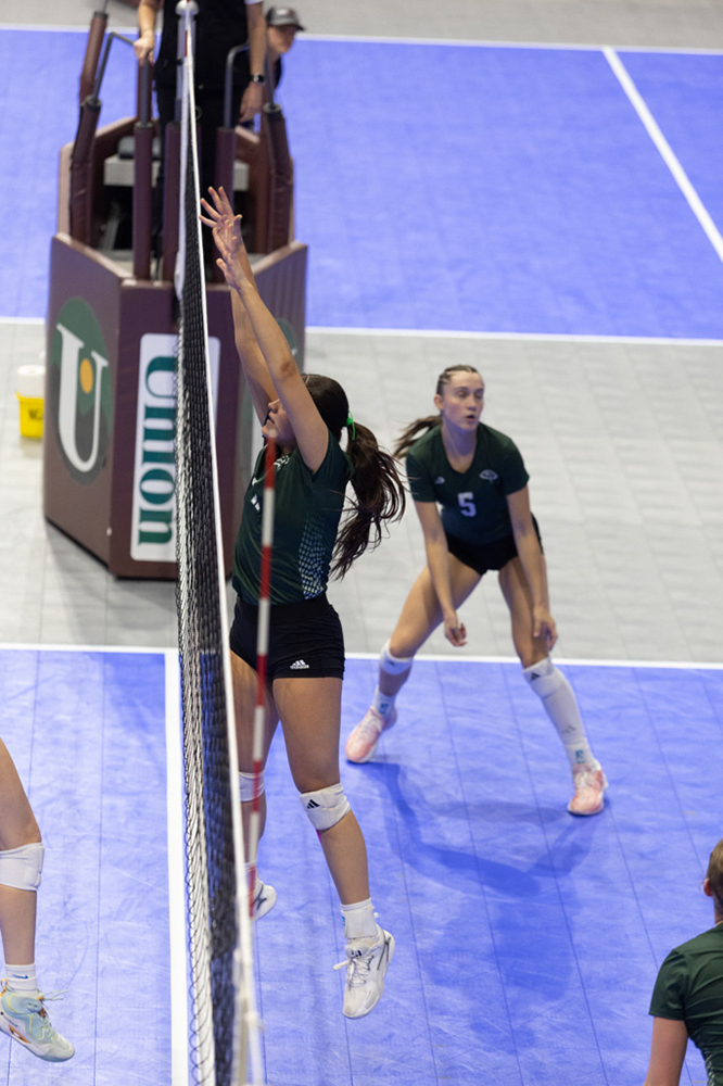 %_tempFileName1M6A8593%