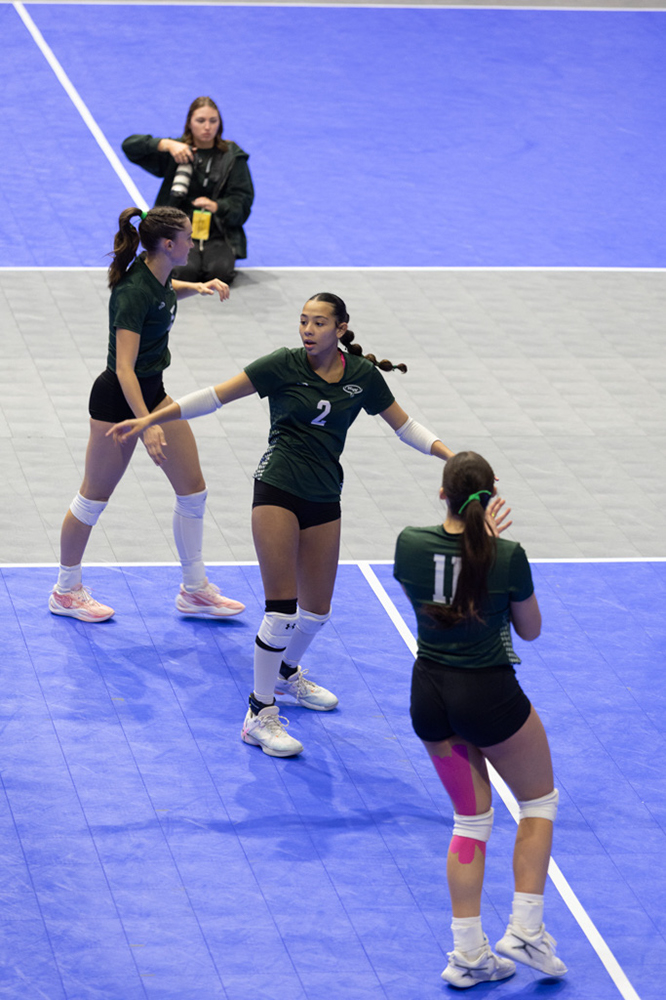 %_tempFileName1M6A8597%