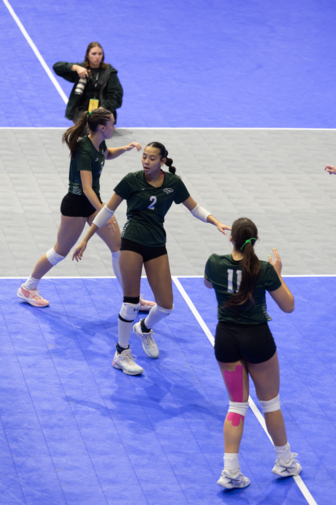 %_tempFileName1M6A8599%