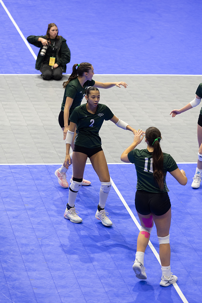 %_tempFileName1M6A8602%