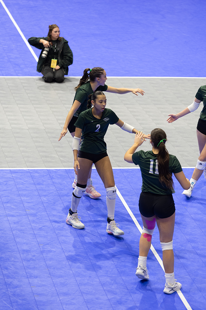 %_tempFileName1M6A8603%