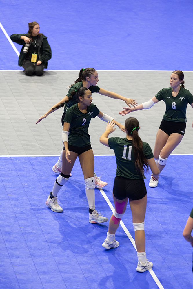 %_tempFileName1M6A8605%