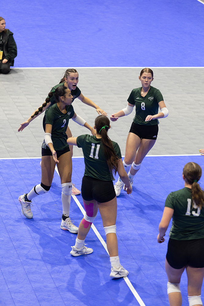 %_tempFileName1M6A8607%