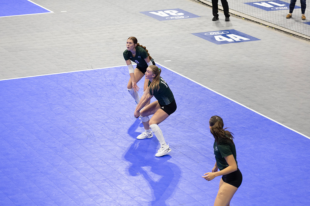 %_tempFileName1M6A8613%