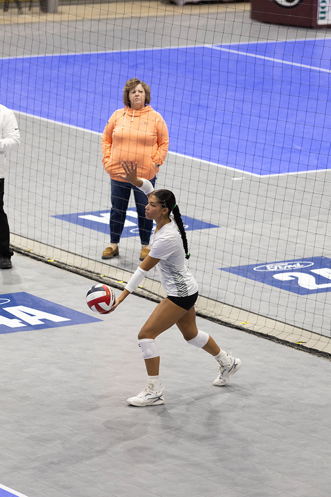 %_tempFileName1M6A8633%