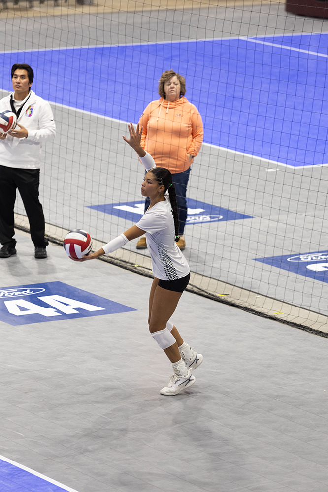 %_tempFileName1M6A8636%