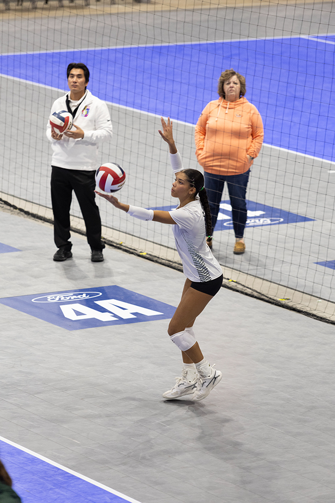 %_tempFileName1M6A8638%