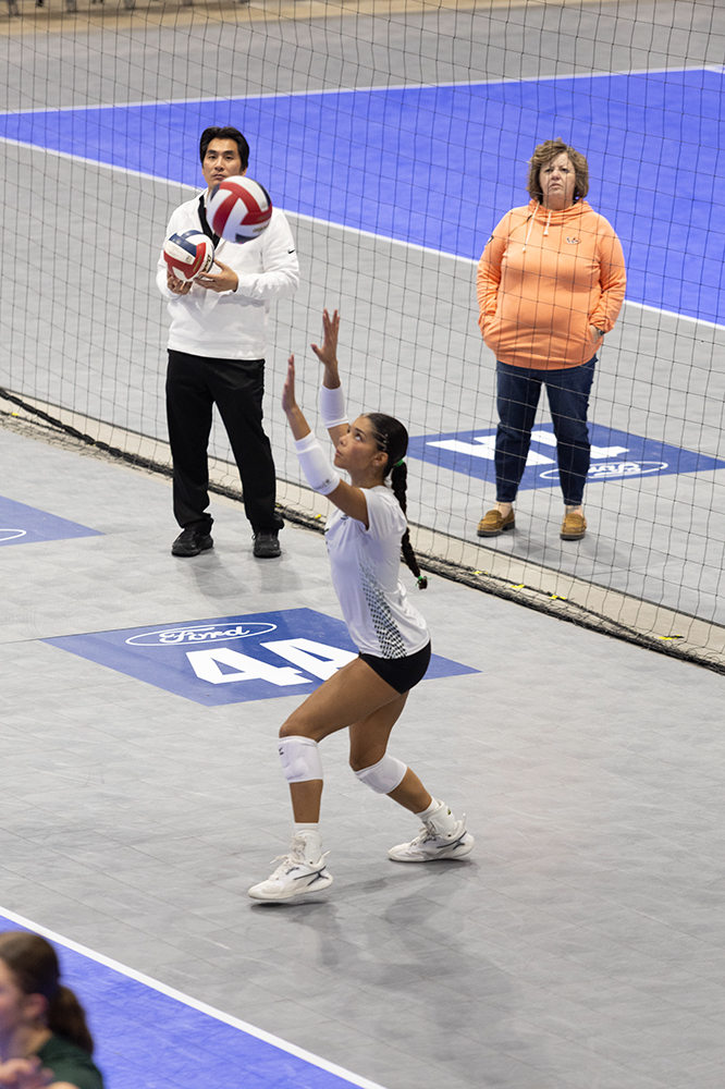 %_tempFileName1M6A8641%