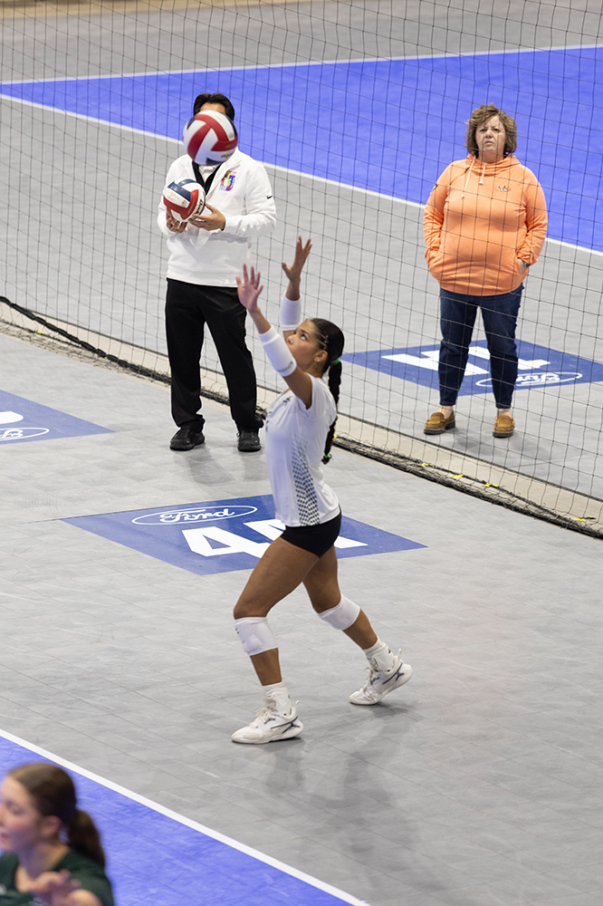 %_tempFileName1M6A8642%