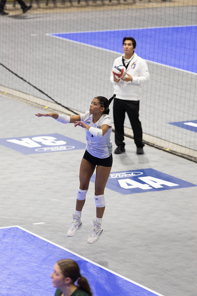 %_tempFileName1M6A8649%