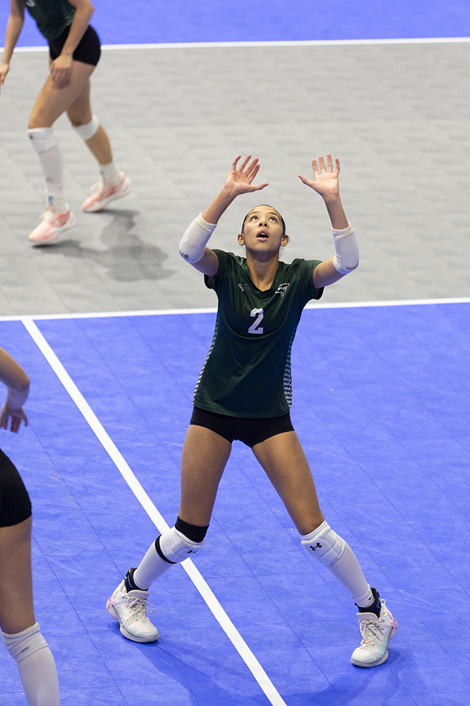 %_tempFileName1M6A8661%