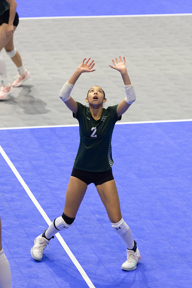 %_tempFileName1M6A8662%