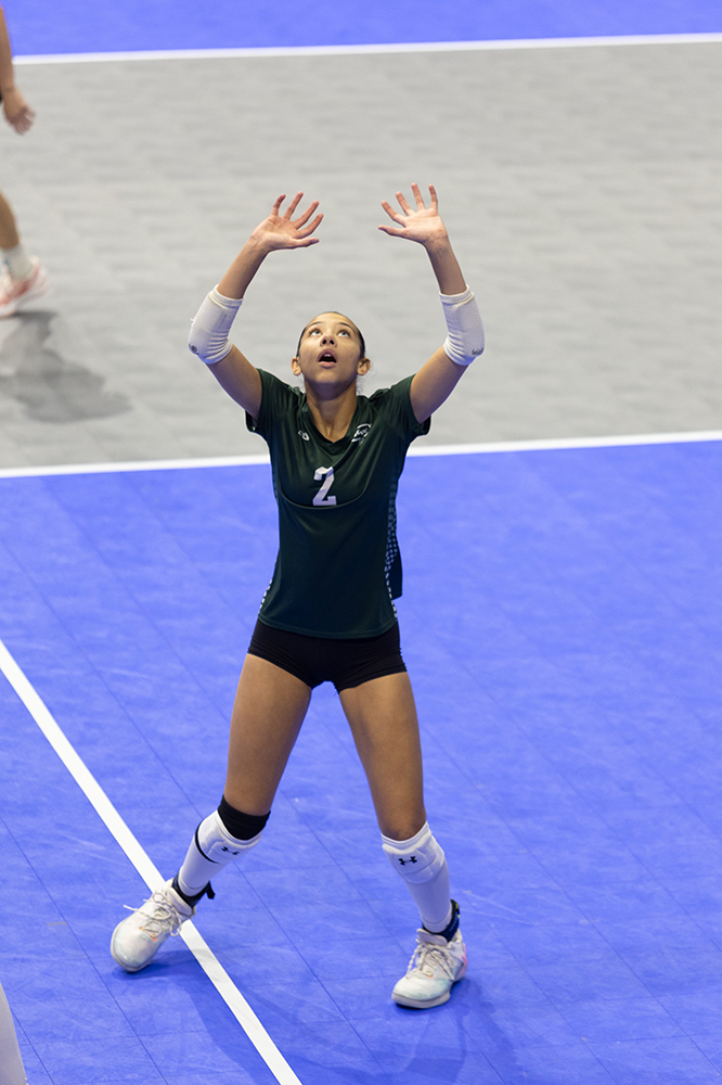 %_tempFileName1M6A8663%