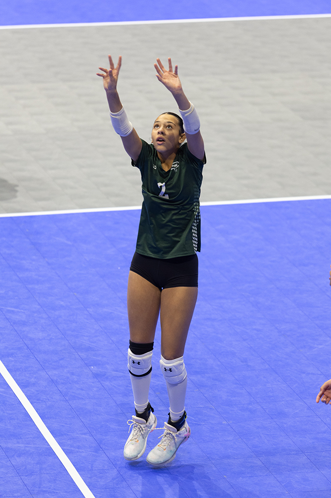 %_tempFileName1M6A8667%