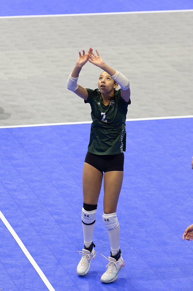 %_tempFileName1M6A8668%