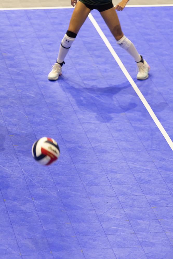 %_tempFileName1M6A8675%