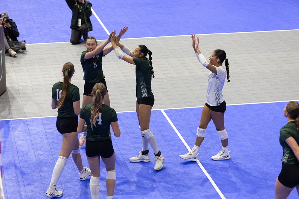 %_tempFileName1M6A8703%