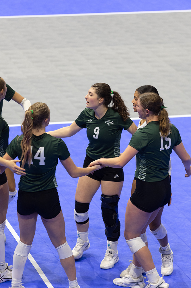 %_tempFileName1M6A8713%