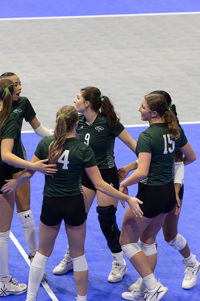 %_tempFileName1M6A8717%