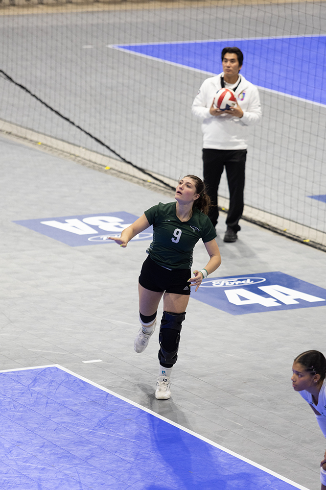 %_tempFileName1M6A8724%