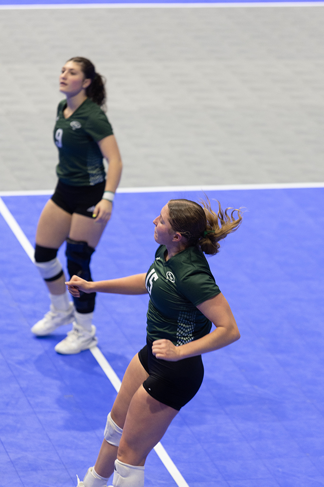 %_tempFileName1M6A8733%