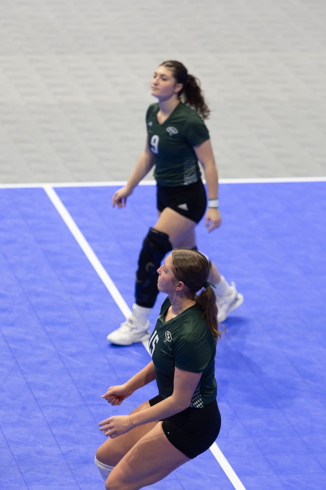 %_tempFileName1M6A8736%