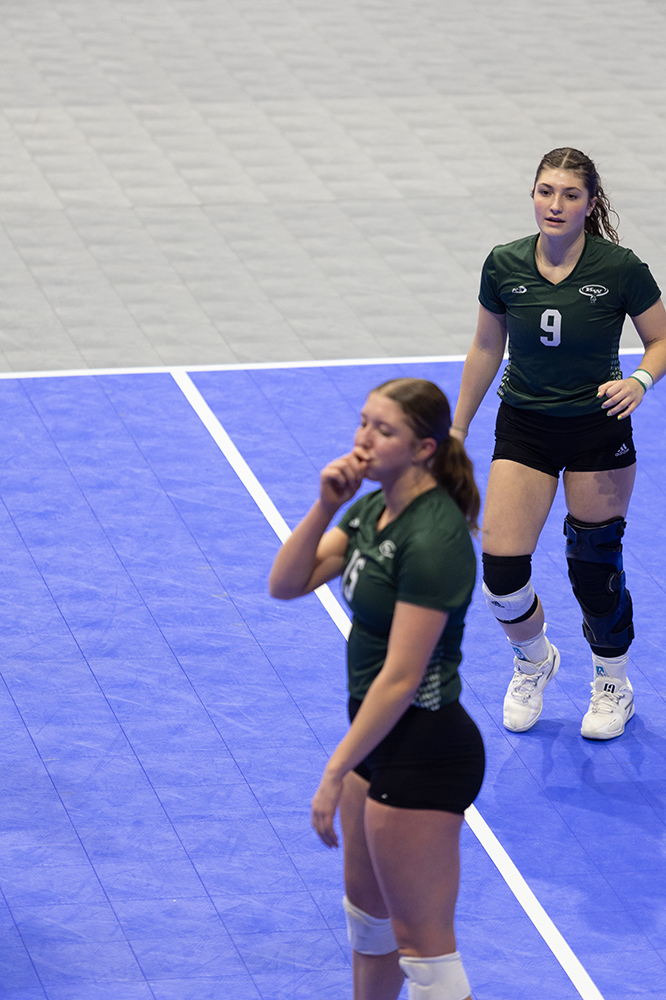 %_tempFileName1M6A8739%