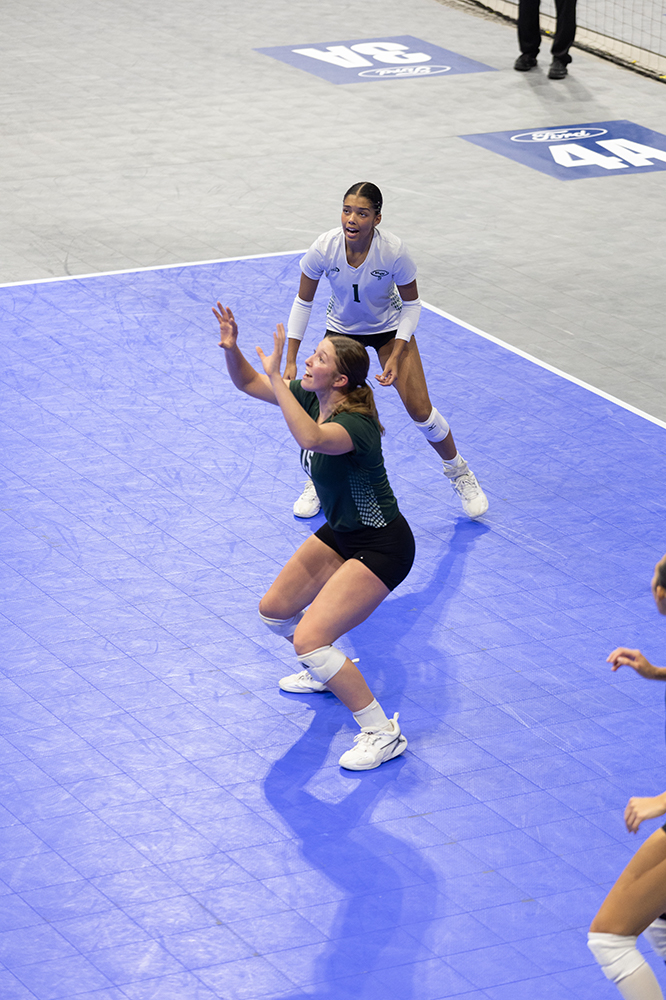 %_tempFileName1M6A8741%