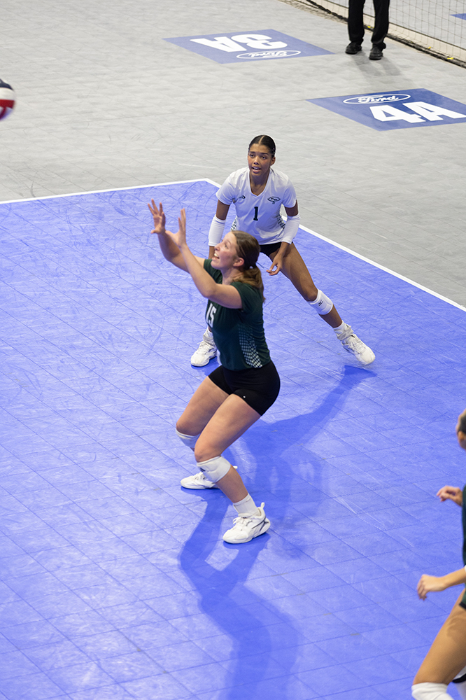 %_tempFileName1M6A8742%